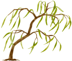 ilustración de acuarela de árbol para elemento decorativo png