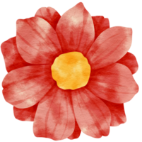 Red flower watercolor painted for Decorative Element png