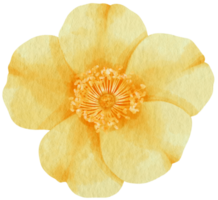 gele roos bloem aquarel stijl voor decoratief element png