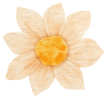 acuarela de flor blanca pintada para elemento decorativo png