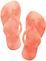 Sandals watercolor illustration for Summer Decorative Element png