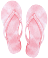 rosa sandaler akvarell illustration för sommar dekorativa element png