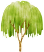 ilustración de acuarela de árbol para elemento decorativo png