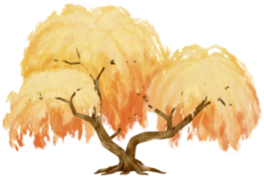 herbstbaum mit gelben blättern aquarellillustration für dekoratives element png