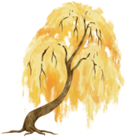 albero autunnale con foglie gialle illustrazione ad acquerello per elemento decorativo png