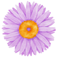 acuarela de flor morada pintada para elemento decorativo png