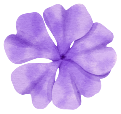 Purple Flowers PNGs for Free Download