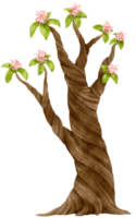 arbre d'automne avec illustration aquarelle de fleurs roses pour élément décoratif png