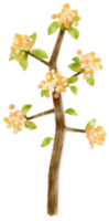 herbstbaum mit gelber blumenaquarellillustration für dekoratives element png