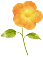 ilustração em aquarela de flores fofas png