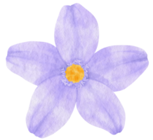 Purple flower watercolor painted for Decorative Element png