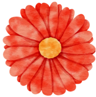 fiore rosso acquerello dipinto per elemento decorativo png