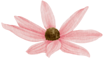 Pink flower watercolor style for Decorative Element png