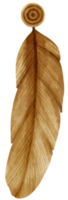 illustrazione dell'acquerello dell'orecchino della piuma png