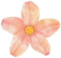 aquarelle fleur rose peinte pour élément décoratif png