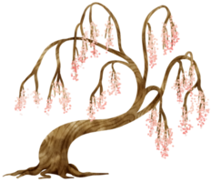 árbol de otoño con flores rosas ilustración acuarela para elemento decorativo png