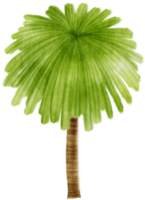 ilustración de acuarela de árbol para elemento decorativo png