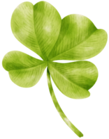 Clover leaf watercolor illustration png