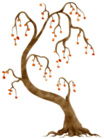 ilustração em aquarela de árvore de outono para elemento decorativo png
