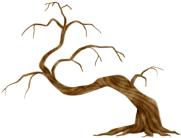arbre mort sans feuilles arbre sec illustration aquarelle pour élément décoratif png