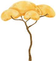 albero autunnale con foglie gialle illustrazione ad acquerello per elemento decorativo png