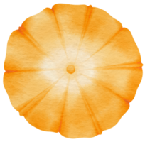 acuarela de flor de naranja pintada para elemento decorativo png