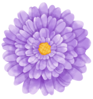 paarse bloem aquarel geschilderd voor decoratief element png