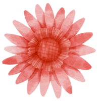 aquarela de flor vermelha pintada para elemento decorativo png