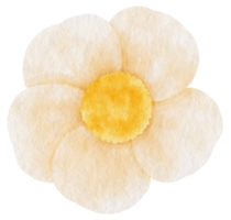 aquarelle de fleur blanche peinte pour élément décoratif png