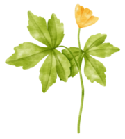 ramo de flor de flor amarela com folhas estilo aquarela para elemento decorativo png