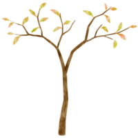 höstträd akvarell illustration för dekorativa element png