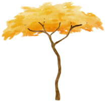 albero autunnale con foglie gialle illustrazione ad acquerello per elemento decorativo png