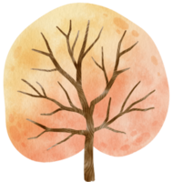 árbol de otoño con hojas amarillas ilustración acuarela para elemento decorativo png