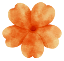 Orange flower watercolor painted for Decorative Element png