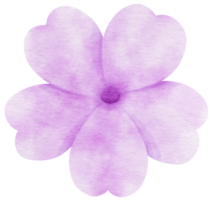 Purple flower watercolor painted for Decorative Element png
