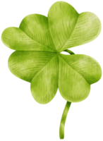 Clover leaf watercolor illustration png