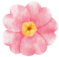 roze bloem aquarel geschilderd voor decoratief element png