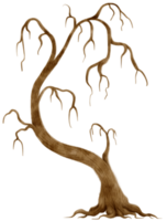illustrazione dell'acquerello dell'albero secco dell'albero morto senza foglie per elemento decorativo png