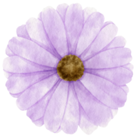 acuarela de flor morada pintada para elemento decorativo png