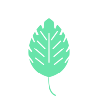 clipart feuille de menthe png