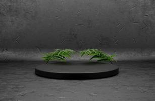 Gray 3D Product Show stage podium with leaf photo