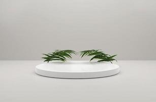 White 3D Product Show stage podium with leaf photo