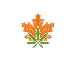 logotipo de vector de hoja de arce y cannabis