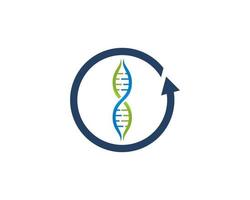 DNA Helix inside the arrow rotation logo vector