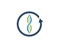 DNA Helix inside the arrow rotation logo vector