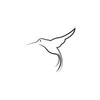 diseño de logotipo de icono de colibrí vector