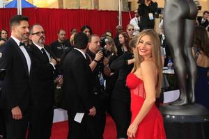 LOS ANGELES, JAN 25 - Sofia Vergara at the 2015 Screen Actor Guild Awards at the Shrine Auditorium on January 25, 2015 in Los Angeles, CA photo