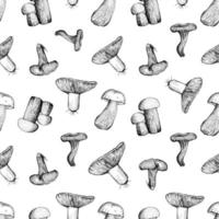 Seamless pattern with assorted mushrooms . Vector illustration