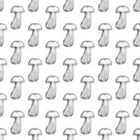 Seamless pattern with mushrooms . Vector illustration