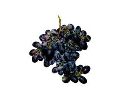 bunch of blue grapes photo